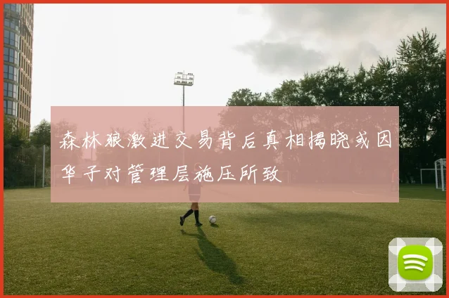 森林狼激进交易背后真相揭晓或因华子对管理层施压所致