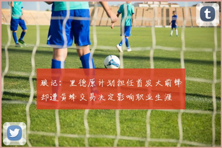 狼记：里德原计划担任首发大前锋却遭黄蜂交易决定影响职业生涯
